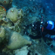Illustration for article titled This Massive Shipwreck Graveyard Is Way Bigger Than Scientists Thought